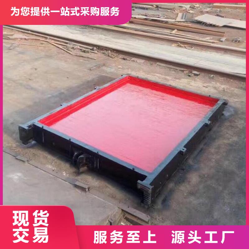 铸铁闸门泵站清污机匠心品质库存齐全厂家直供