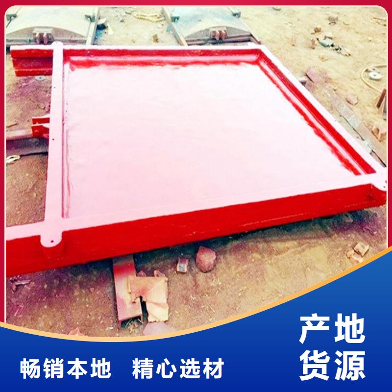 铸铁闸门【泵站铸铁闸门】性能稳定从源头保证品质