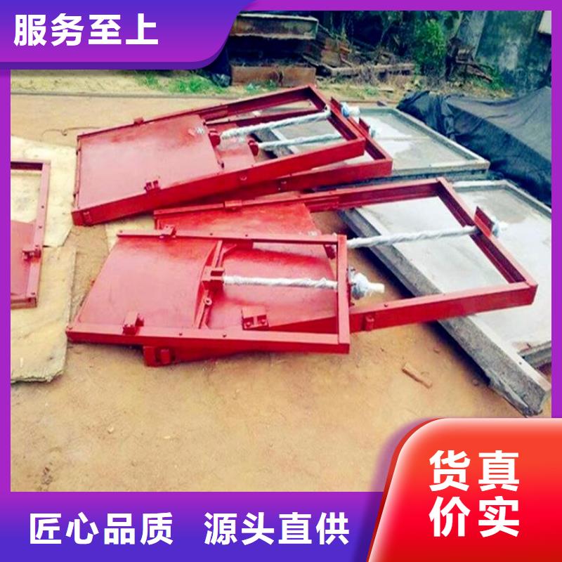 铸铁闸门清污机高质量高信誉我们更专业