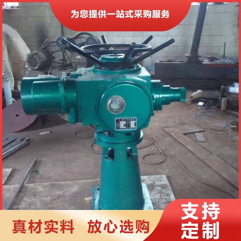 【螺杆启闭机】卷扬启闭机实体诚信厂家{本地}货源