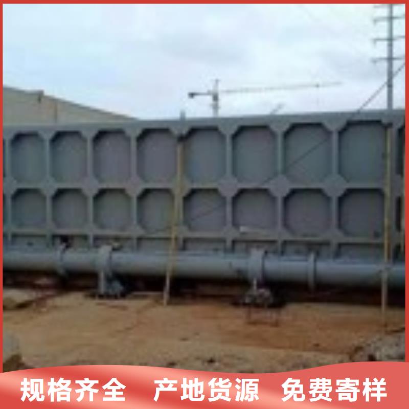 翻板闸门_拦污栅拥有多家成功案例本地品牌