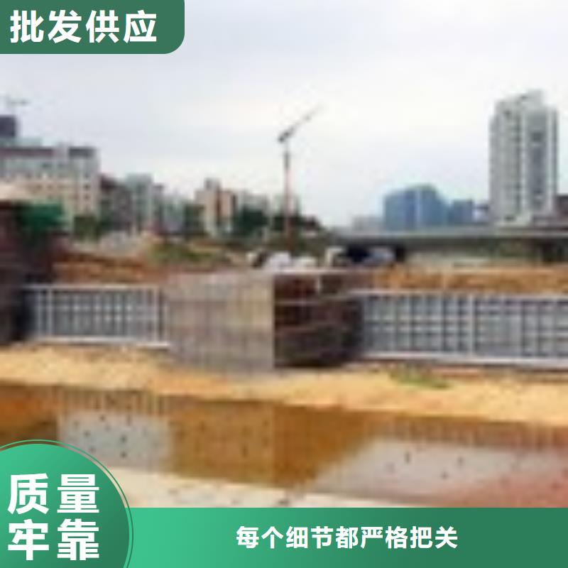 翻板闸门钢制拍门厂家支持拿样本地经销商