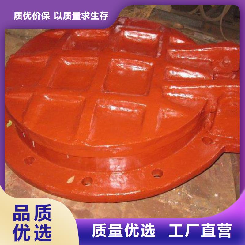 【拍门】钢制闸门严格把控每一处细节【当地】公司
