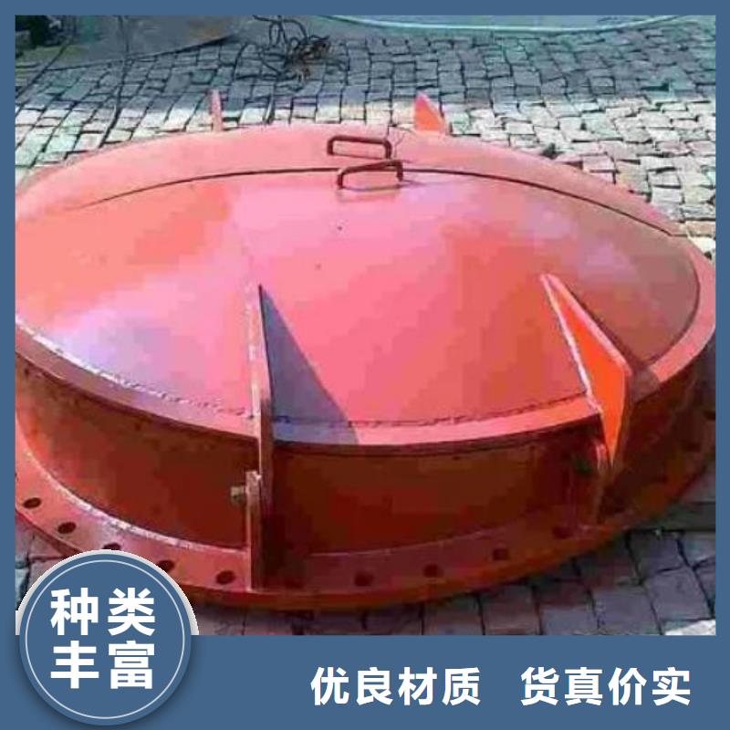 拍门卷扬启闭机用心做品质本地经销商