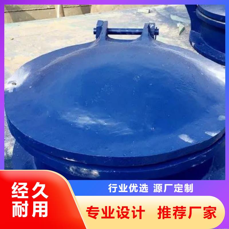 拍门螺杆启闭机品质服务现货销售