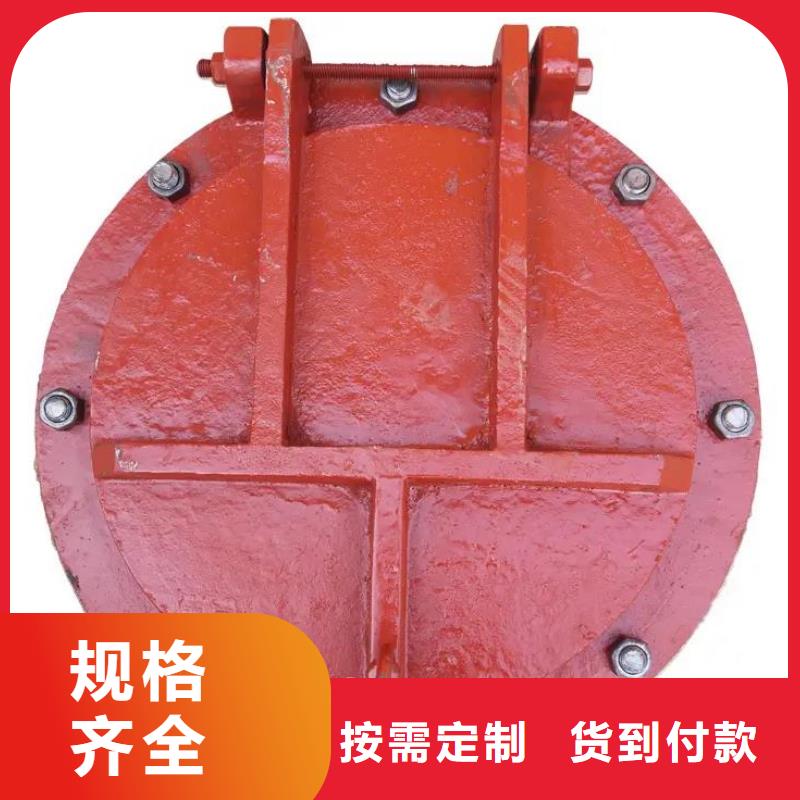 拍门液压启闭机用好材做好产品当地服务商