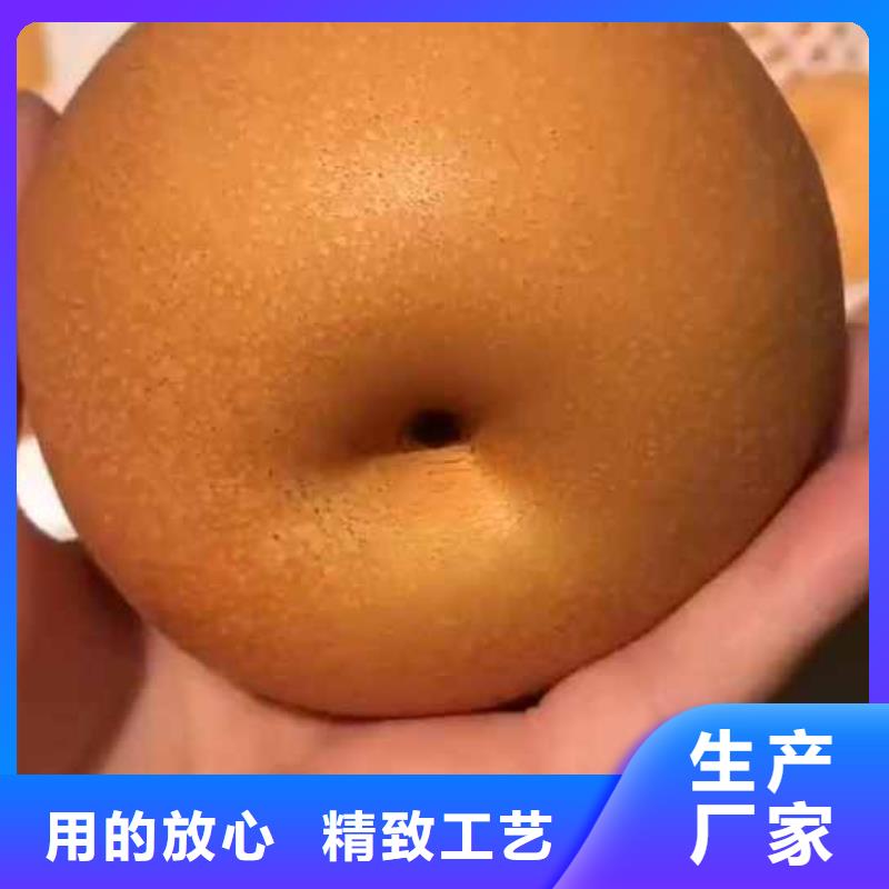 梨,毛桃苗产品细节工艺成熟