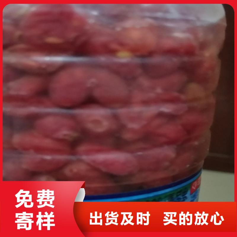 杈杷果,樱桃苗厂家直营定制不额外收费