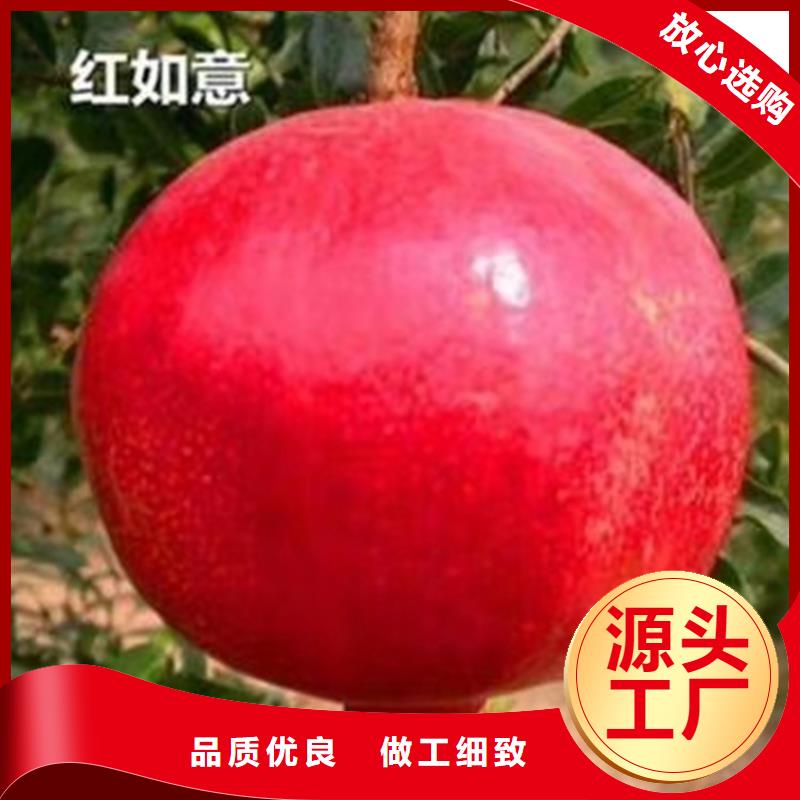 石榴_奶油草莓按需定制真材实料品质过硬