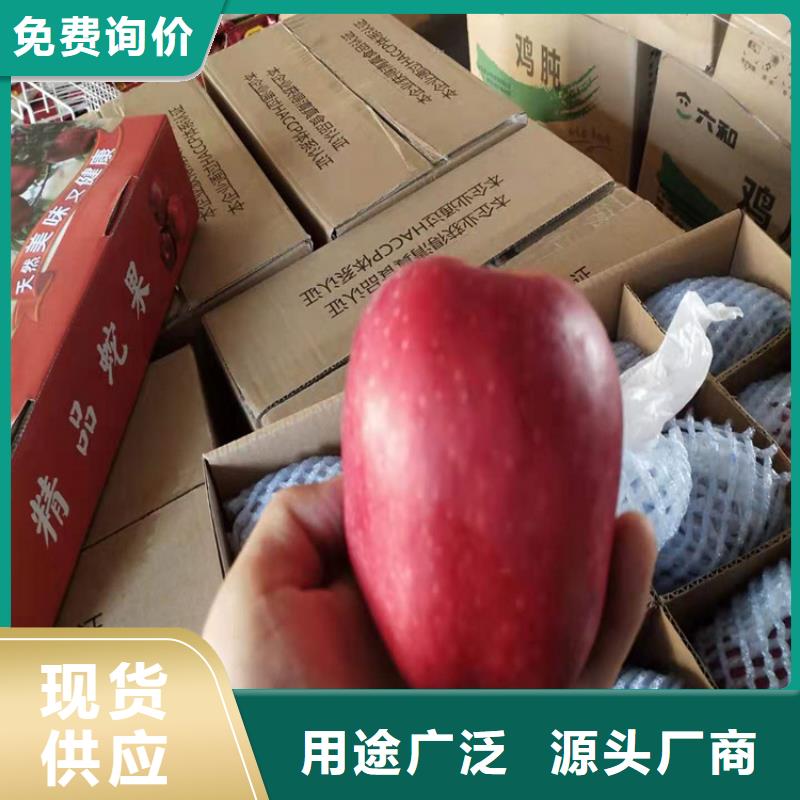 苹果,樱桃苗优选货源支持大小批量采购