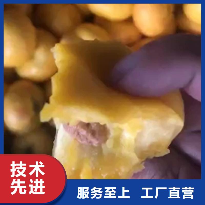 桃梨树苗做工精细同城生产厂家