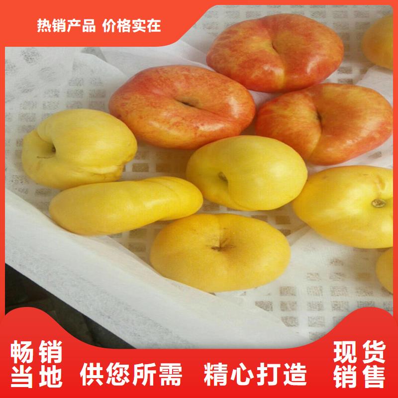 【桃梨树苗免费询价】认准大品牌厂家