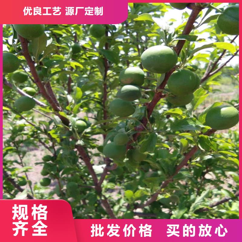 李子_红颜草莓送货上门本地服务商