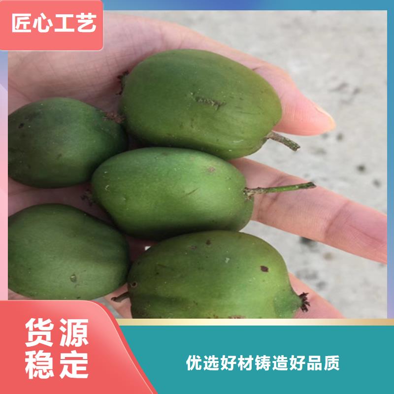 猕猴桃【蓝莓苗】敢与同行比质量生产经验丰富