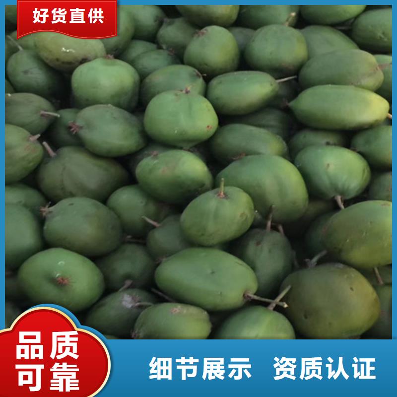 猕猴桃-苹果苗质量牢靠同城品牌