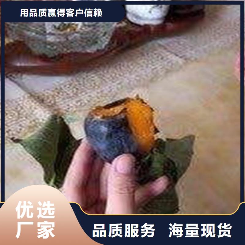 柿子梨树苗厂家供应细节展示
