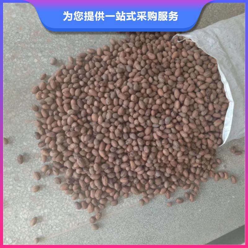 【碧根果】【蓝莓苗】品质优良当地供应商