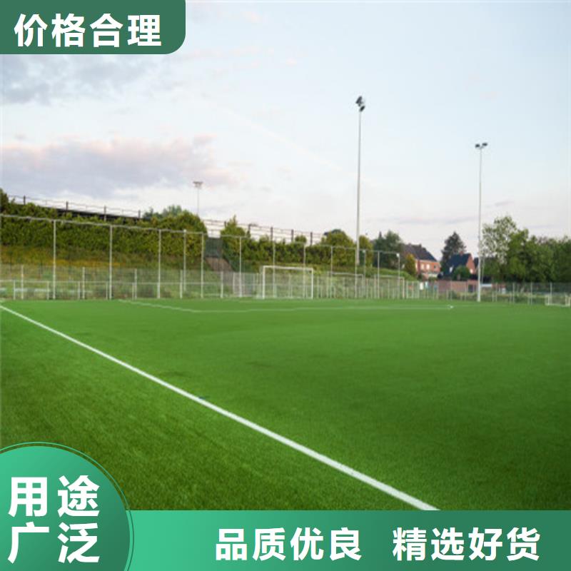 人造草坪塑胶球场多年厂家可靠本地公司