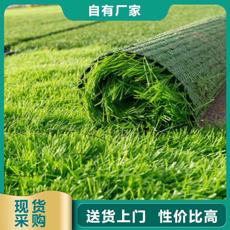 人造草坪-仿真草皮好品质经得住考验<当地>生产厂家