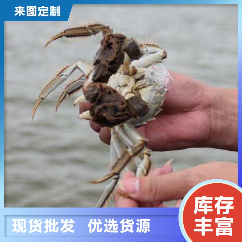 苏州阳澄湖大闸蟹哪家品质好好吃同城生产商