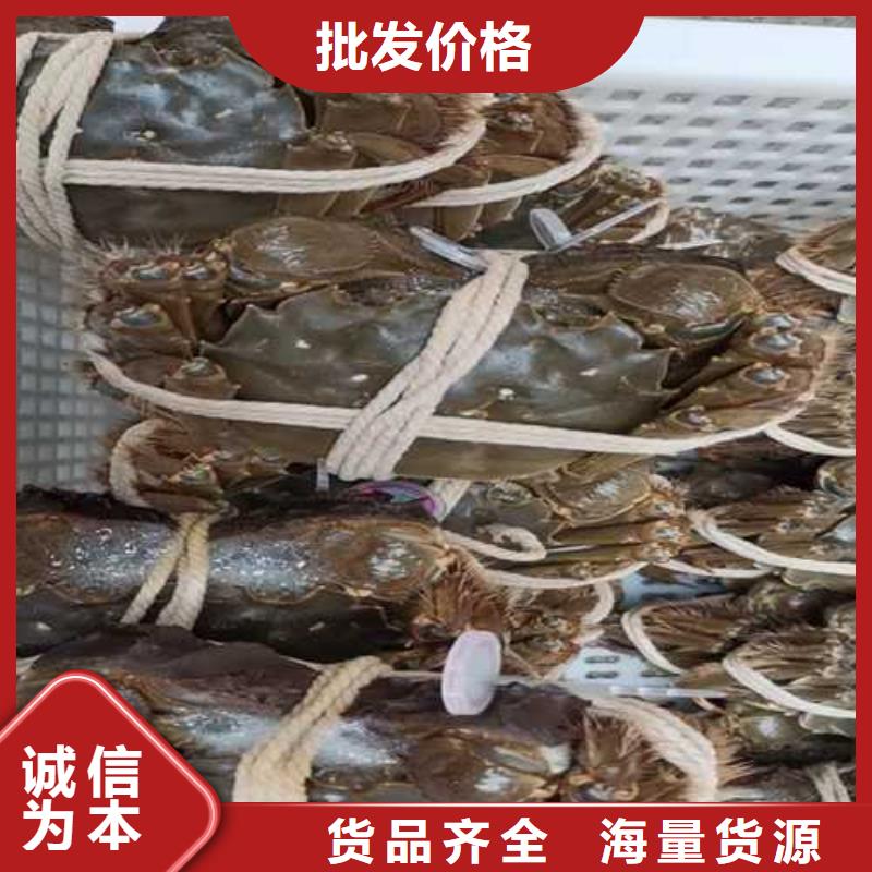 阳澄湖买大闸蟹哪家好阳澄湖吃大闸蟹农家乐比较正宗当地生产厂家