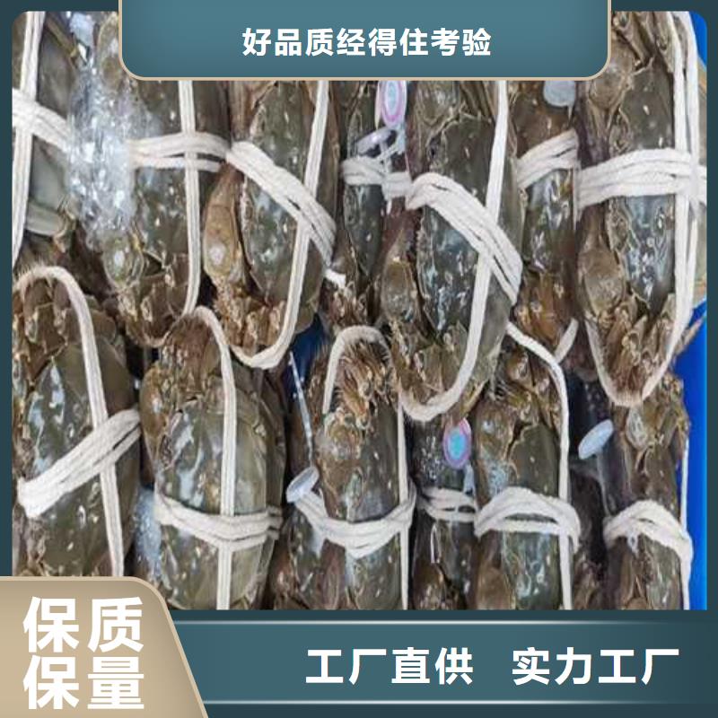 阳澄湖吃大闸蟹哪家好苏州莲花岛顾记蟹庄源头把关放心选购