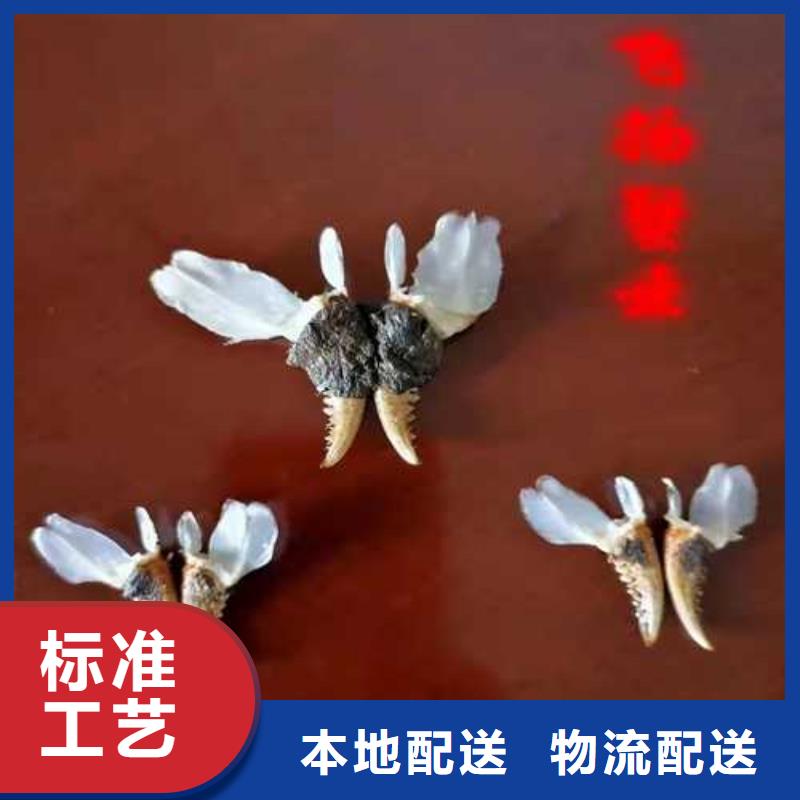 苏州阳澄湖农家乐哪家便宜味道好N年专注