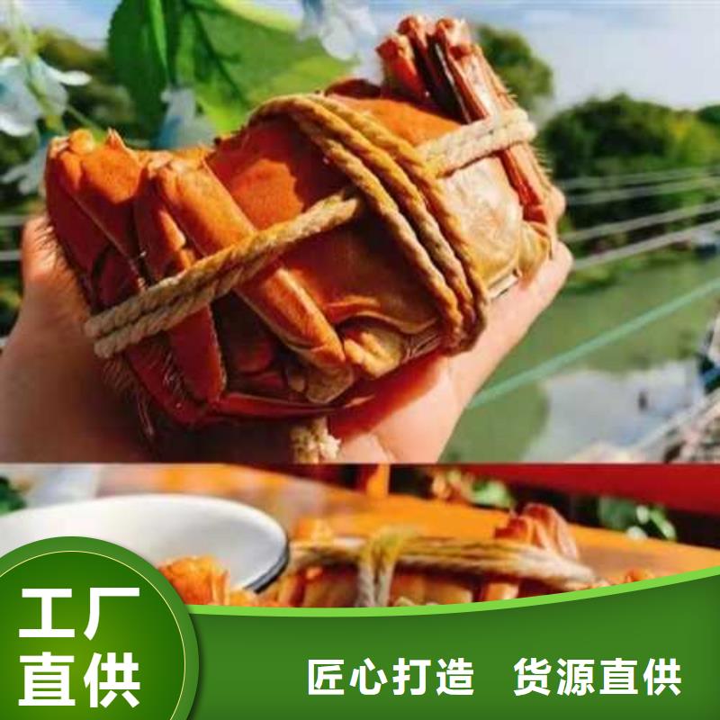阳澄湖买大闸蟹哪家好阳澄湖吃大闸蟹农家乐比较正宗多种场景适用