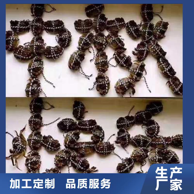 苏州阳澄湖大闸蟹哪家便宜好吃贴心服务