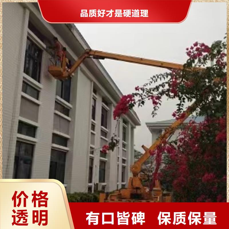高空车出租,升降机出租品质做服务本地生产厂家