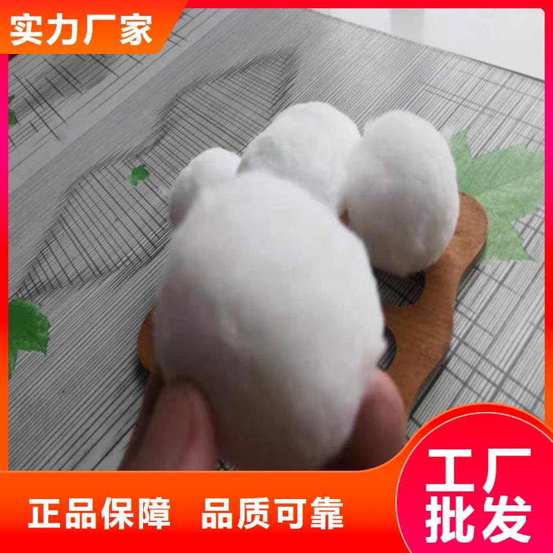 【水处理填料】斜板填料高品质诚信厂家本地品牌