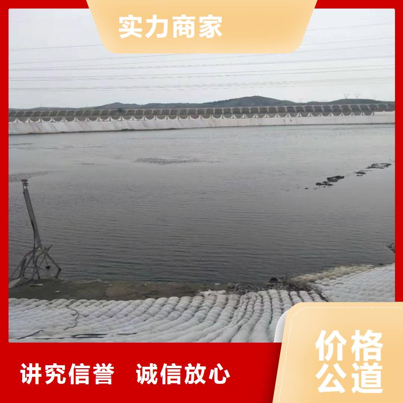 蛙人服务公司模袋施工诚信放心本地厂家