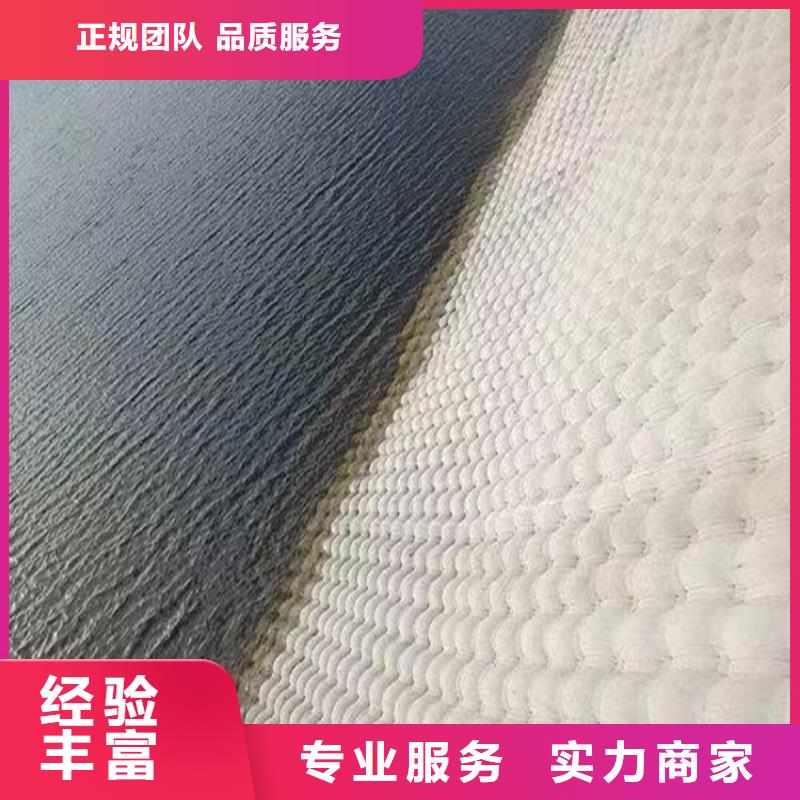 潜水员作业服务-水下封堵公司匠心品质方便快捷