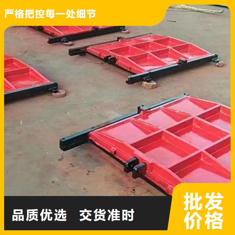 组装式整体闸门专业信赖厂家