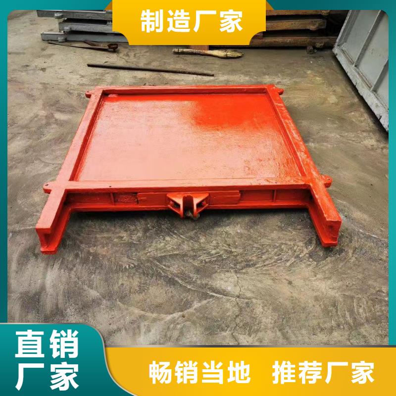 平面铸铁闸门当地制造商