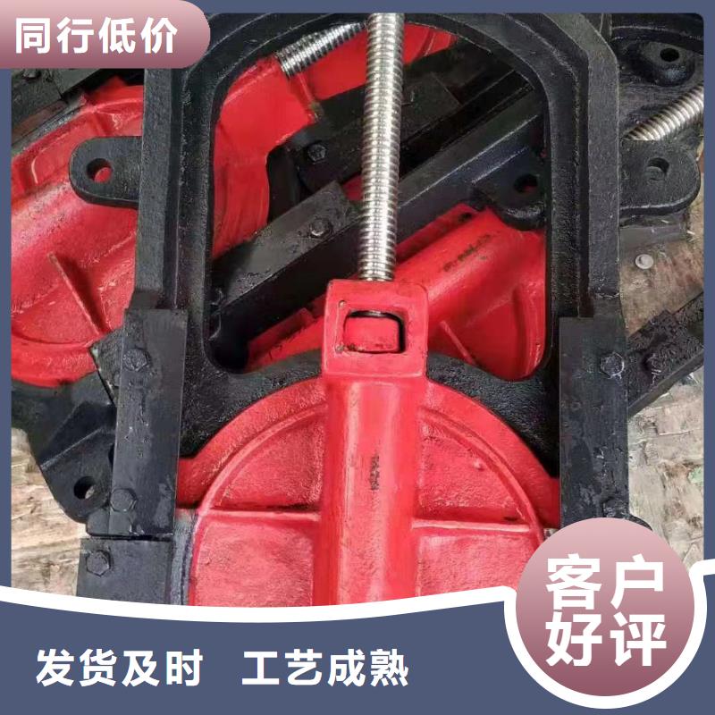 铸铁镶铜闸门-方形钢制闸门一站式当地服务商