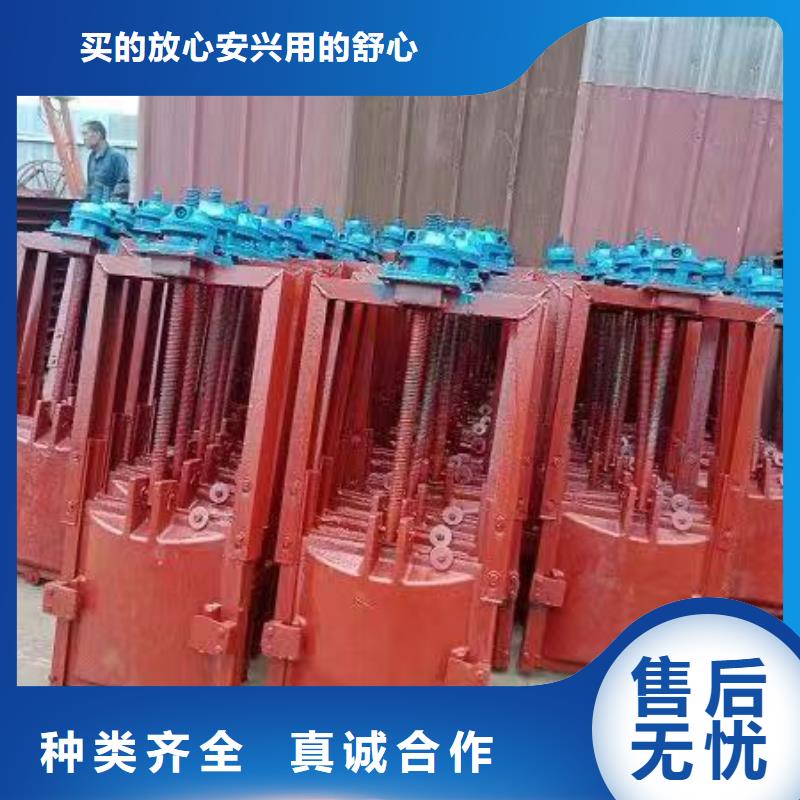 铸铁闸门-平面闸门带直联启闭机精益求精同城制造商