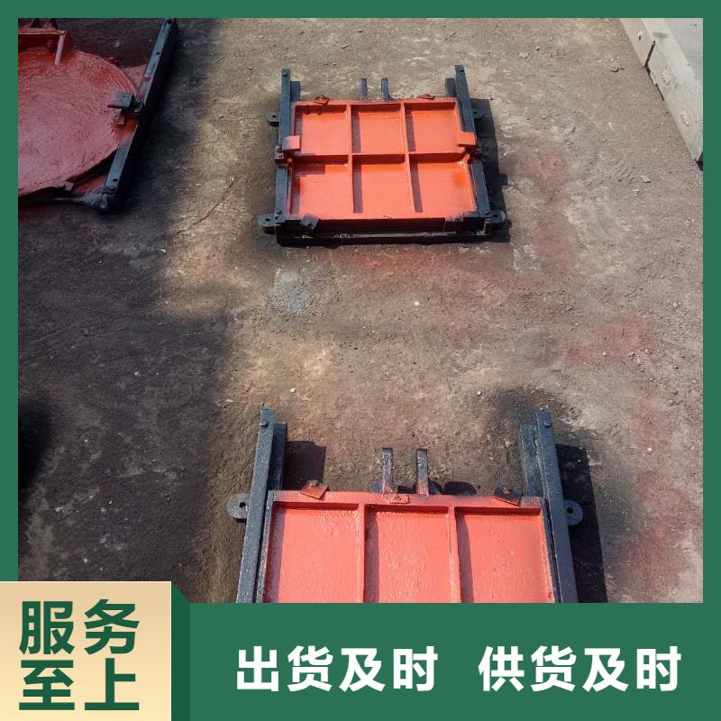 琼海市防倒灌闸门当地生产商