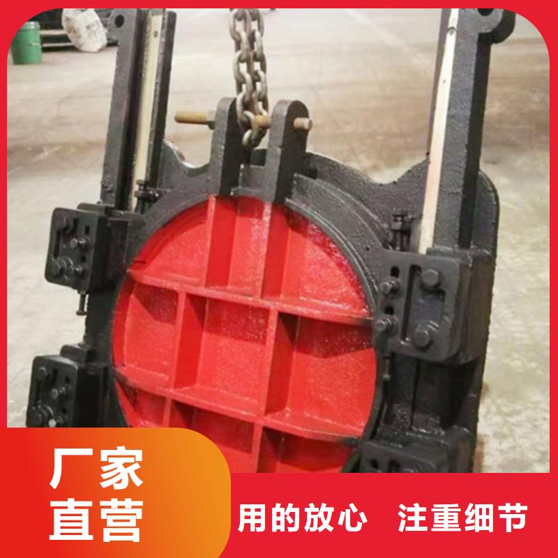 专业销售河道铸铁闸门-热销多年行业经验