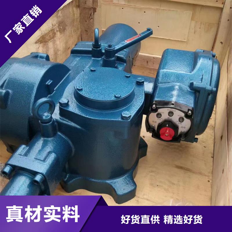 卷扬启闭机电动螺杆式启闭机让您无后顾之忧实力才是硬道理