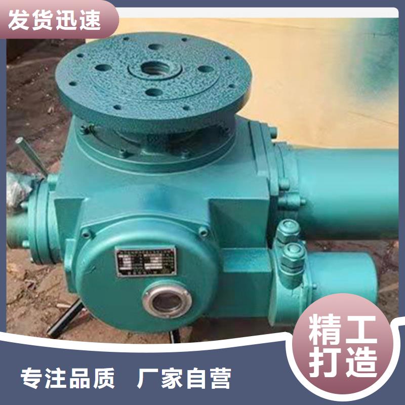 启闭机闸门QL-SD型手电两用启闭机自动化控制，省时省力诚信经营质量保证