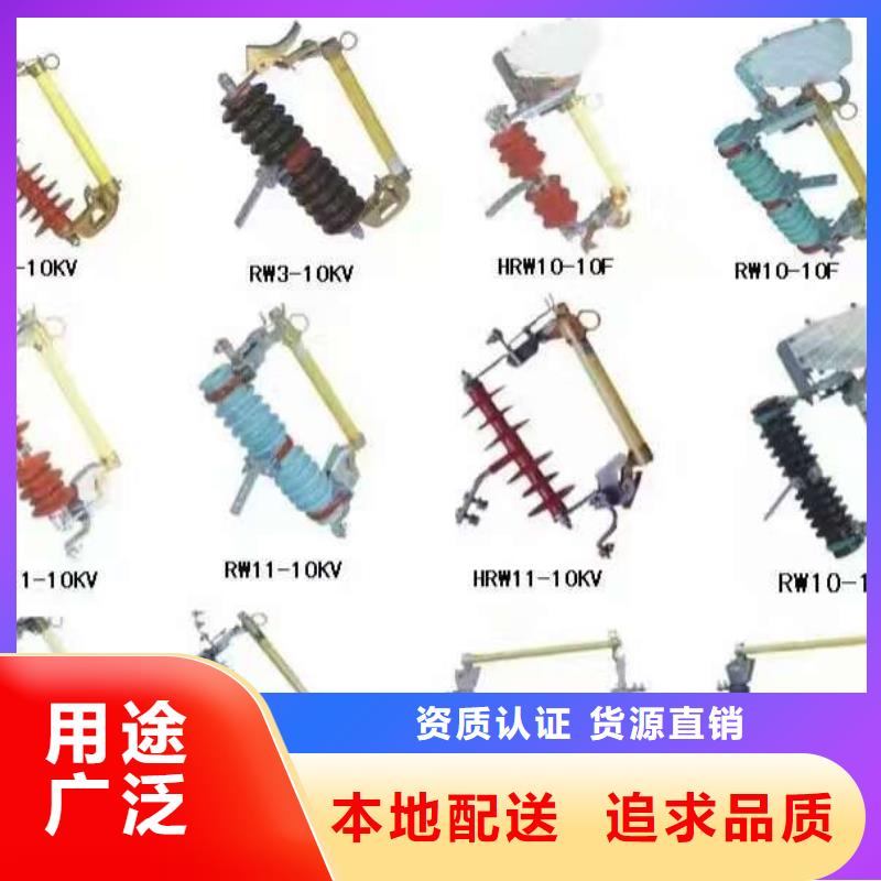 熔断器金属氧化物避雷器多种工艺当地品牌