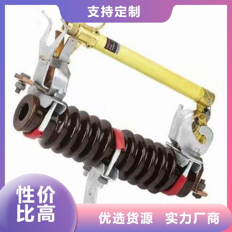 熔断器金属氧化物避雷器欢迎来电咨询当地经销商
