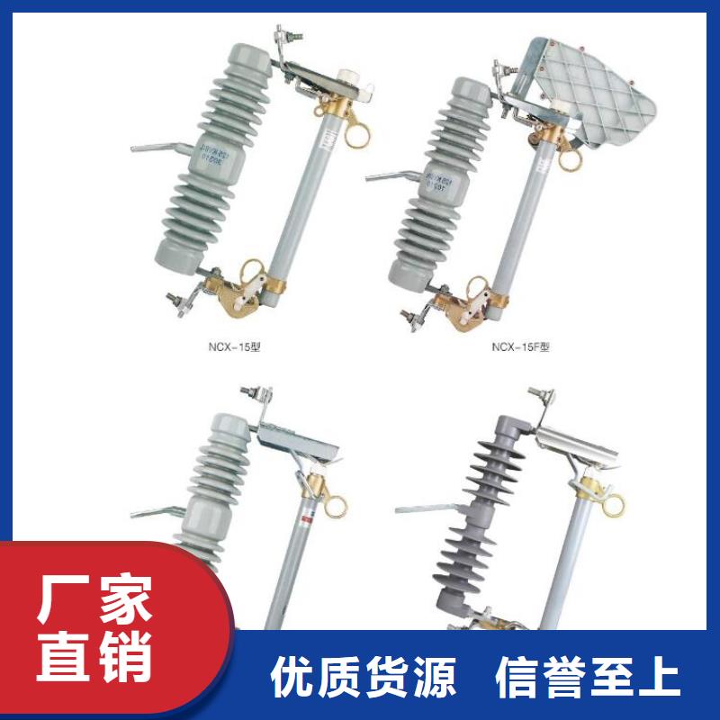 【高压隔离开关】CW2智能型式断路器多种场景适用物美价优