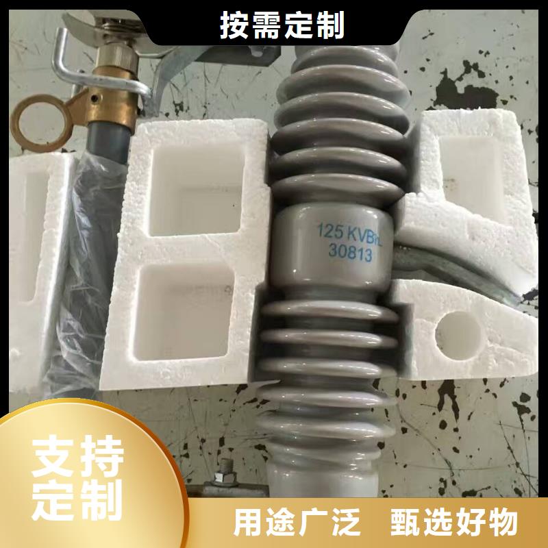 熔断器三相组合式避雷器源厂供货{当地}制造商