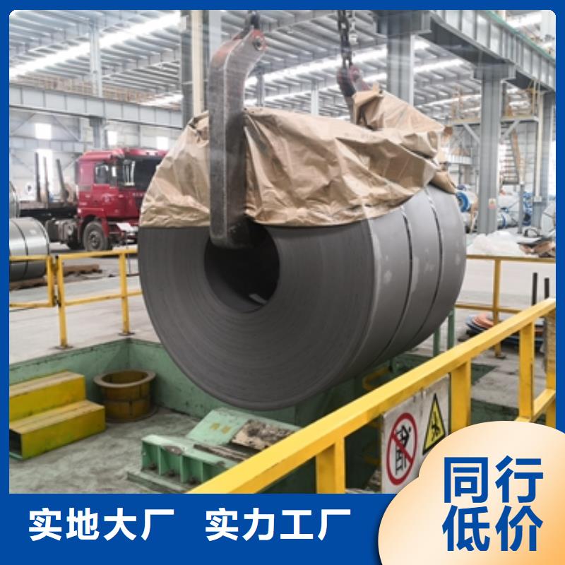 BUSDE+Z,BUSDE+ZN电镀锌生产厂家{当地}公司