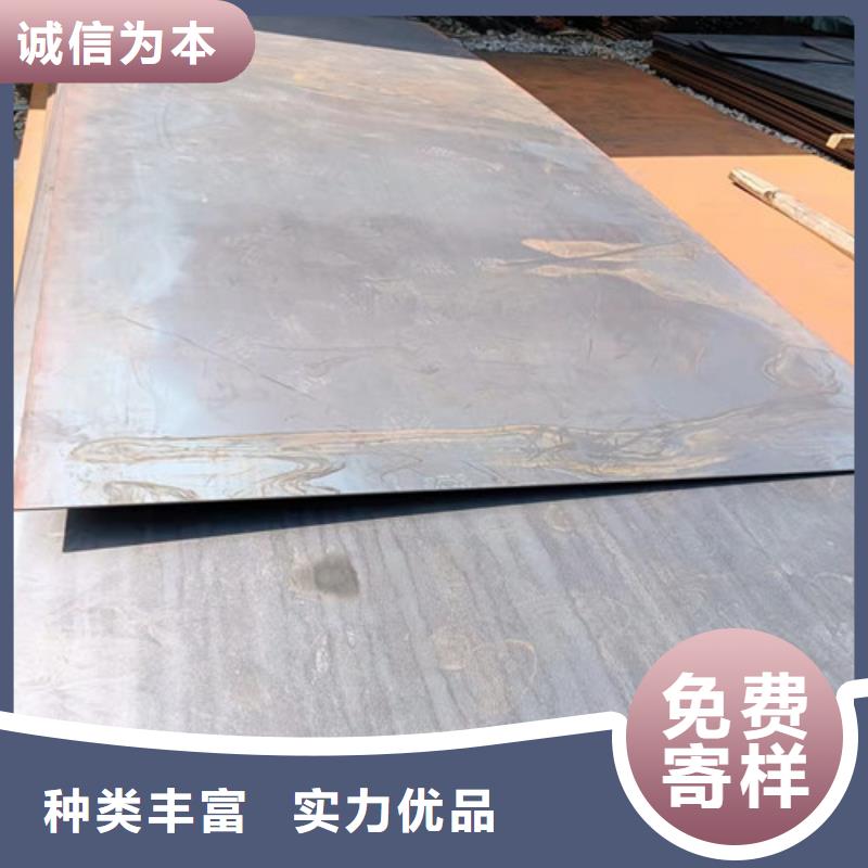 档尘板耐酸钢板	为您服务大量现货