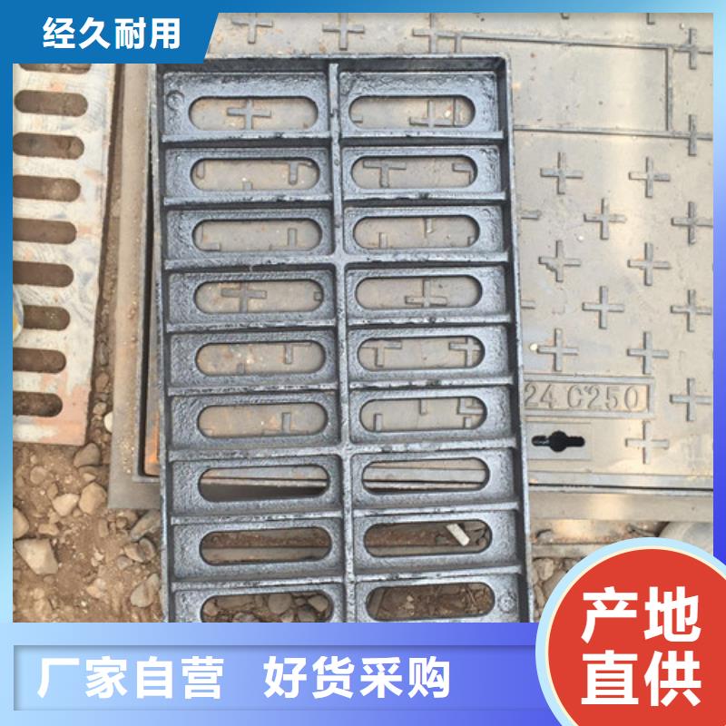 
球墨铸铁铸铁雨水篦子厂家直销本地生产厂家