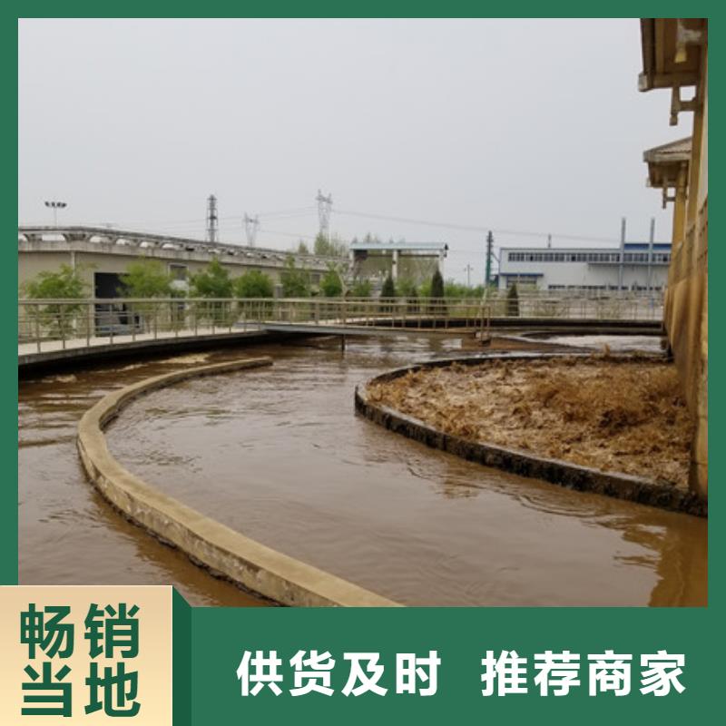 活性炭_聚丙烯酰胺质量安心本地经销商