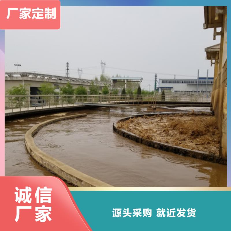 乙酸钠椰壳炭规格齐全实力厂家实力优品